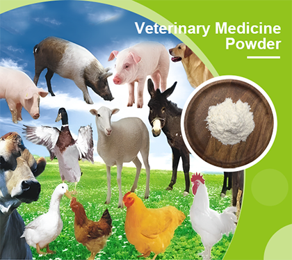 Veterinary Medicine Powder